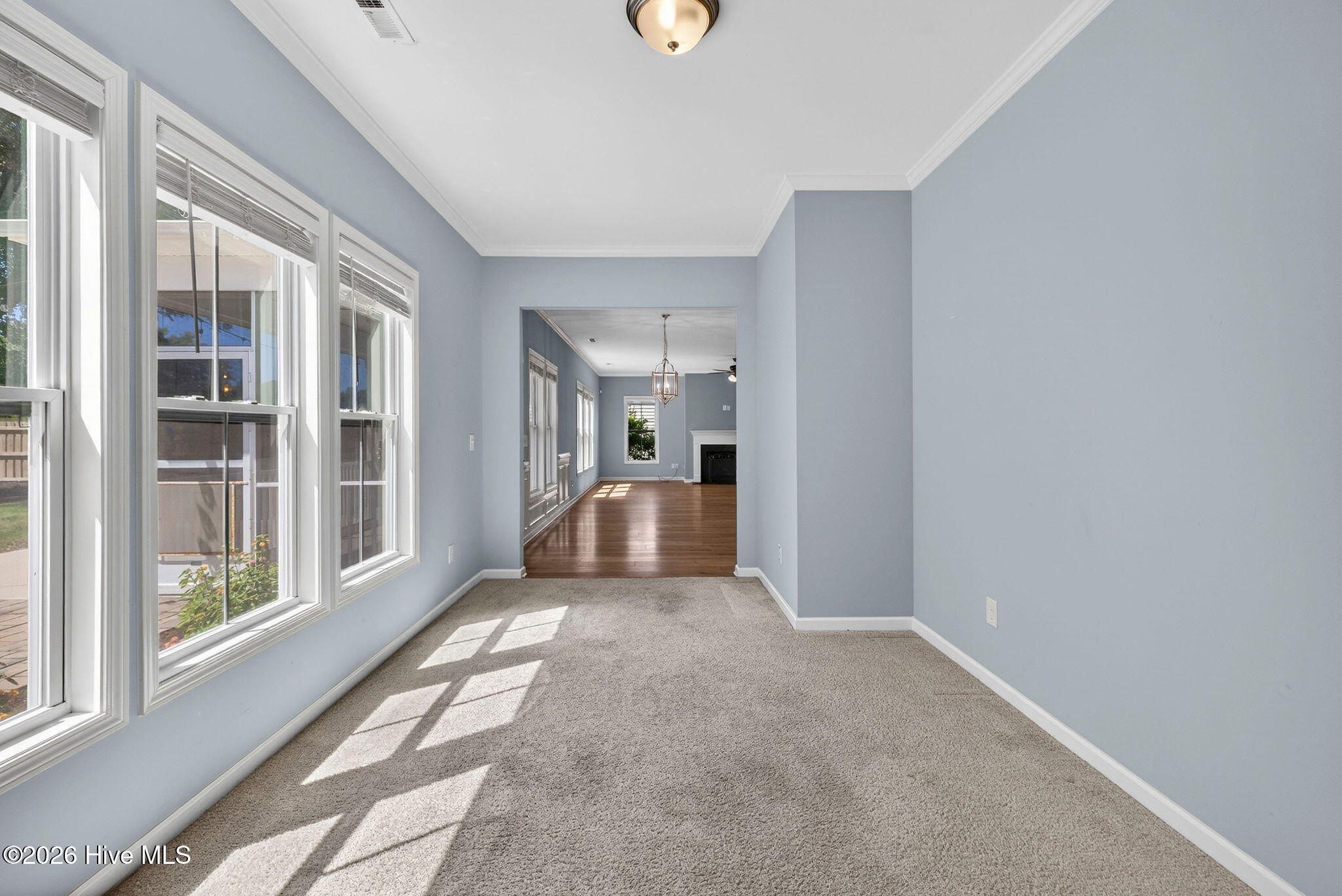 52 Violetear Ridge Hampstead, NC 28443 - Photo 21 of 75