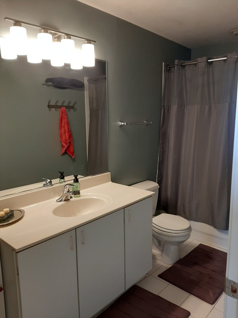 811 South Lytle Street, Unit 403 Chicago, IL 60607 - Photo 12 of 17