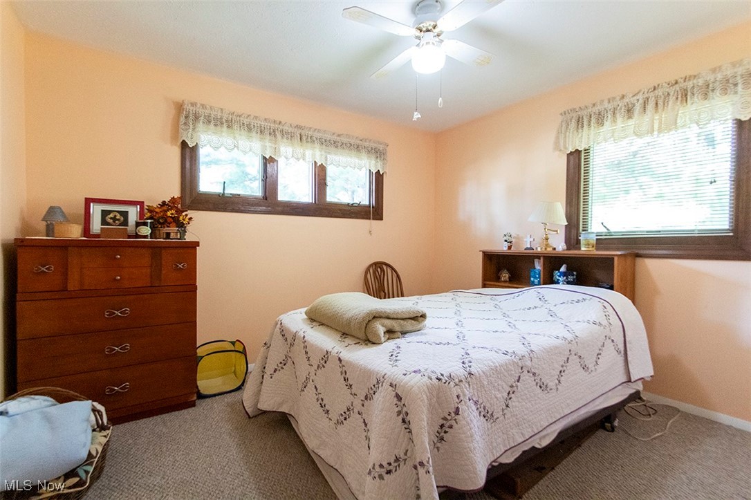20749 Albion Road Strongsville, OH 44149 - Photo 19 of 35 Carpeted bedroom with baseboards, multiple windows, and a ceiling fan