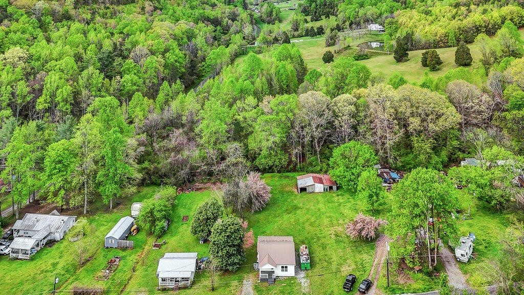 183 Earl Ezell Road Spring City, TN 37381 - Photo 20 of 30 a view of backyard with plants and large trees