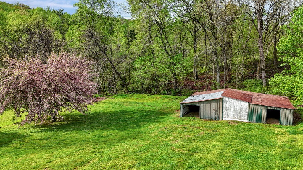 183 Earl Ezell Road Spring City, TN 37381 - Photo 5 of 30 a view of a lush green yard with large trees