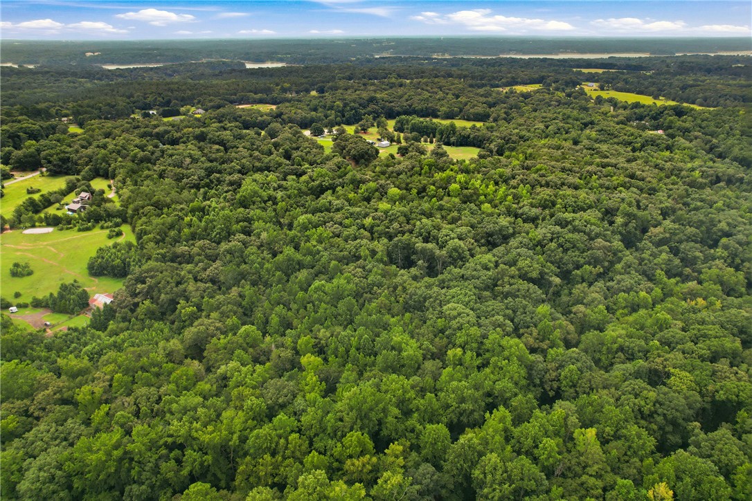 0 Southern Acres Road Anderson, SC 29625 - Photo 14 of 27 Vast, verdant woodlands blanket this serene landscape, offering unparalleled privacy.
