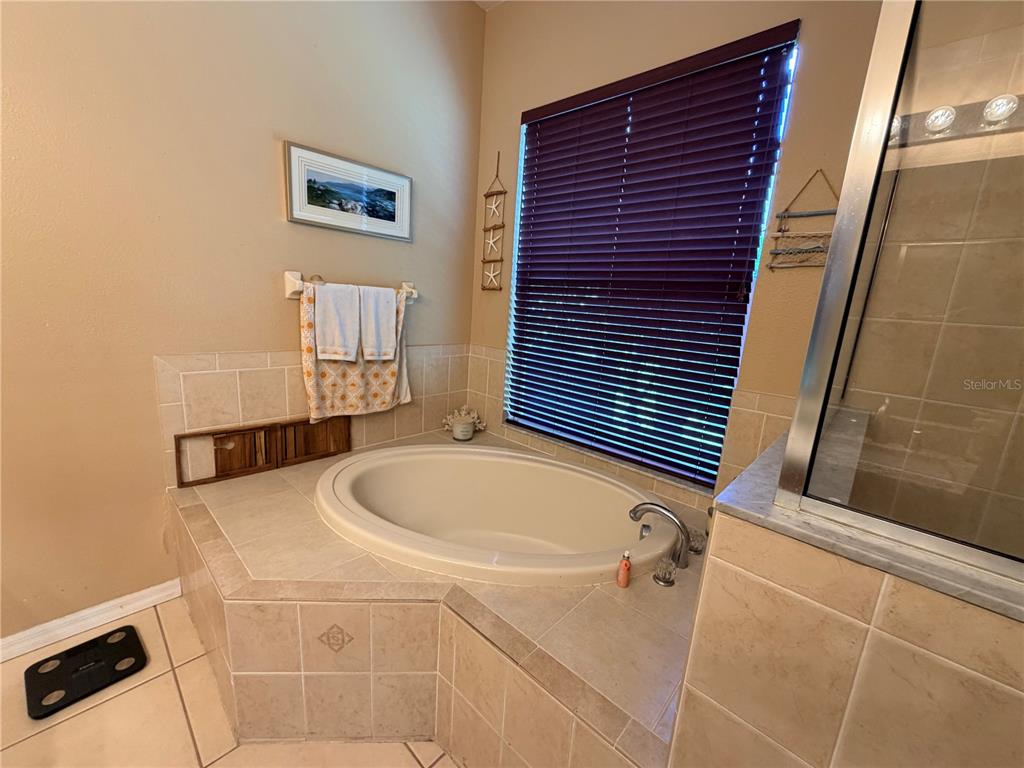 13250 Mandalay Place Spring Hill, FL 34609 - Photo 16 of 28 a bathroom with a bathtub and shower