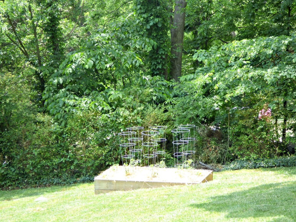 1109 Country Club Road Dandridge, TN 37725 - Photo 35 of 38 Gallery Image 35