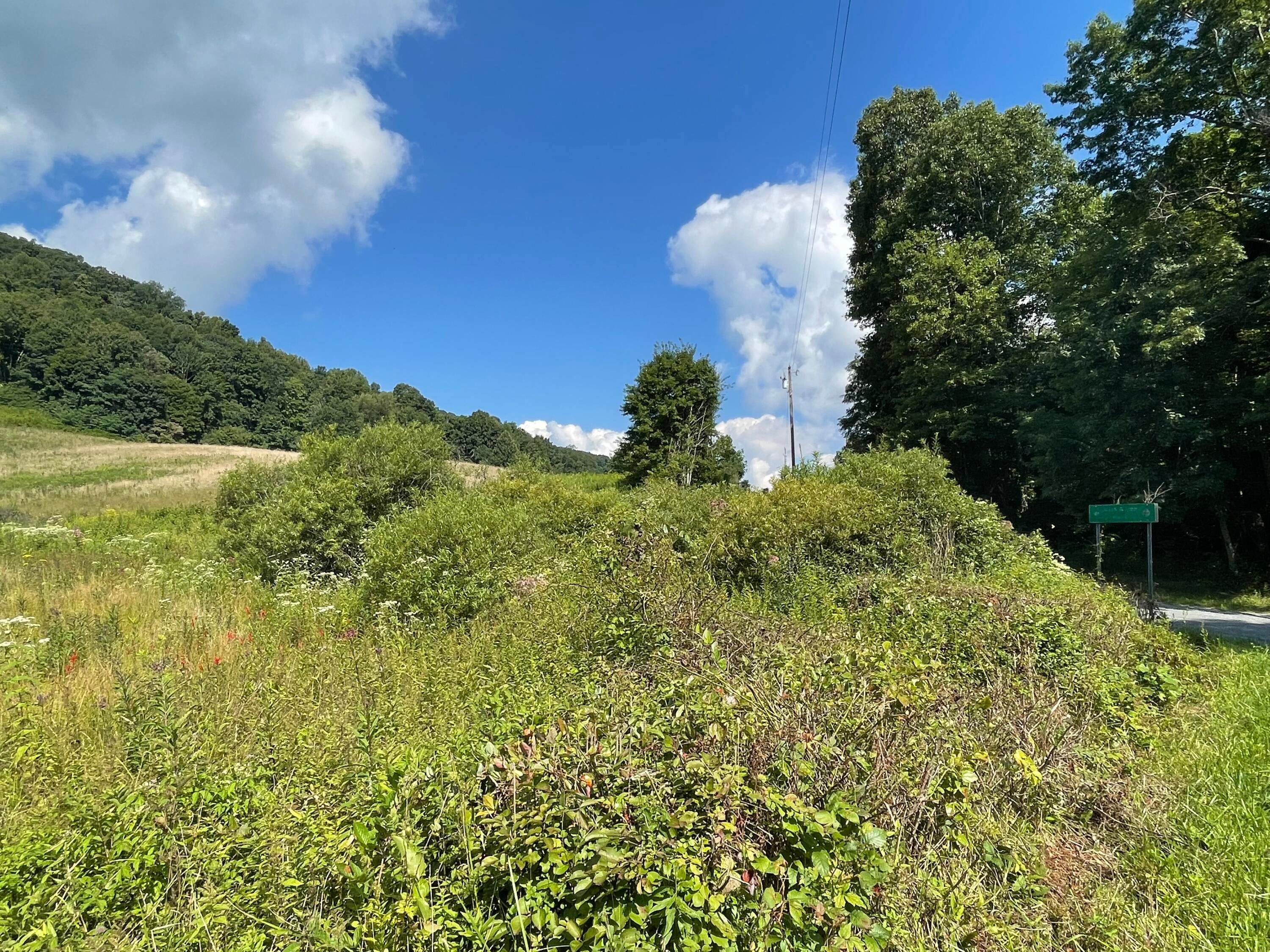 Ward Bench Road Sandstone, WV 25985 - Photo 16 of 92 Gallery Image 16