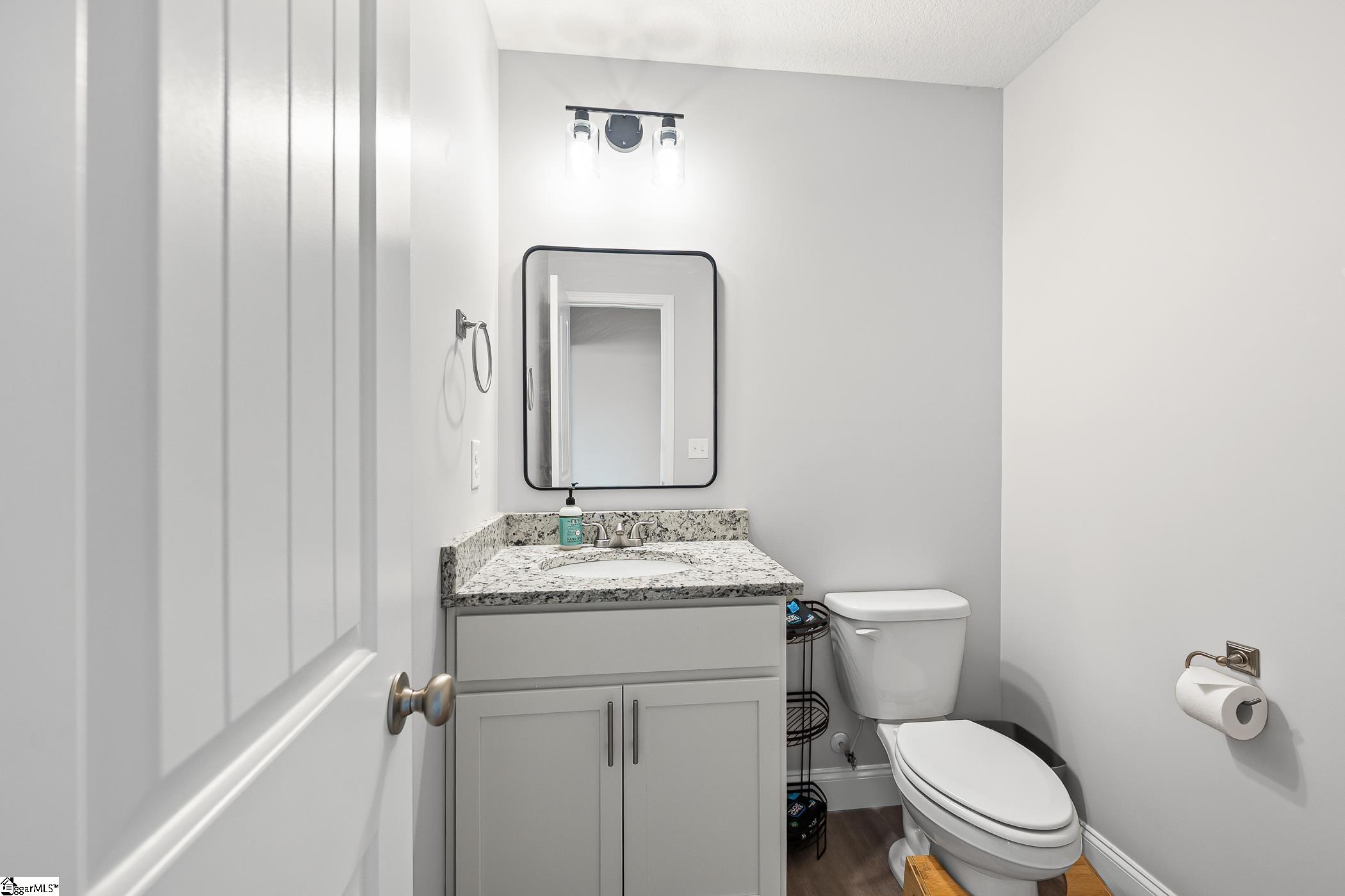 150 Weisser Lane Lyman, SC 29365 - Photo 5 of 32