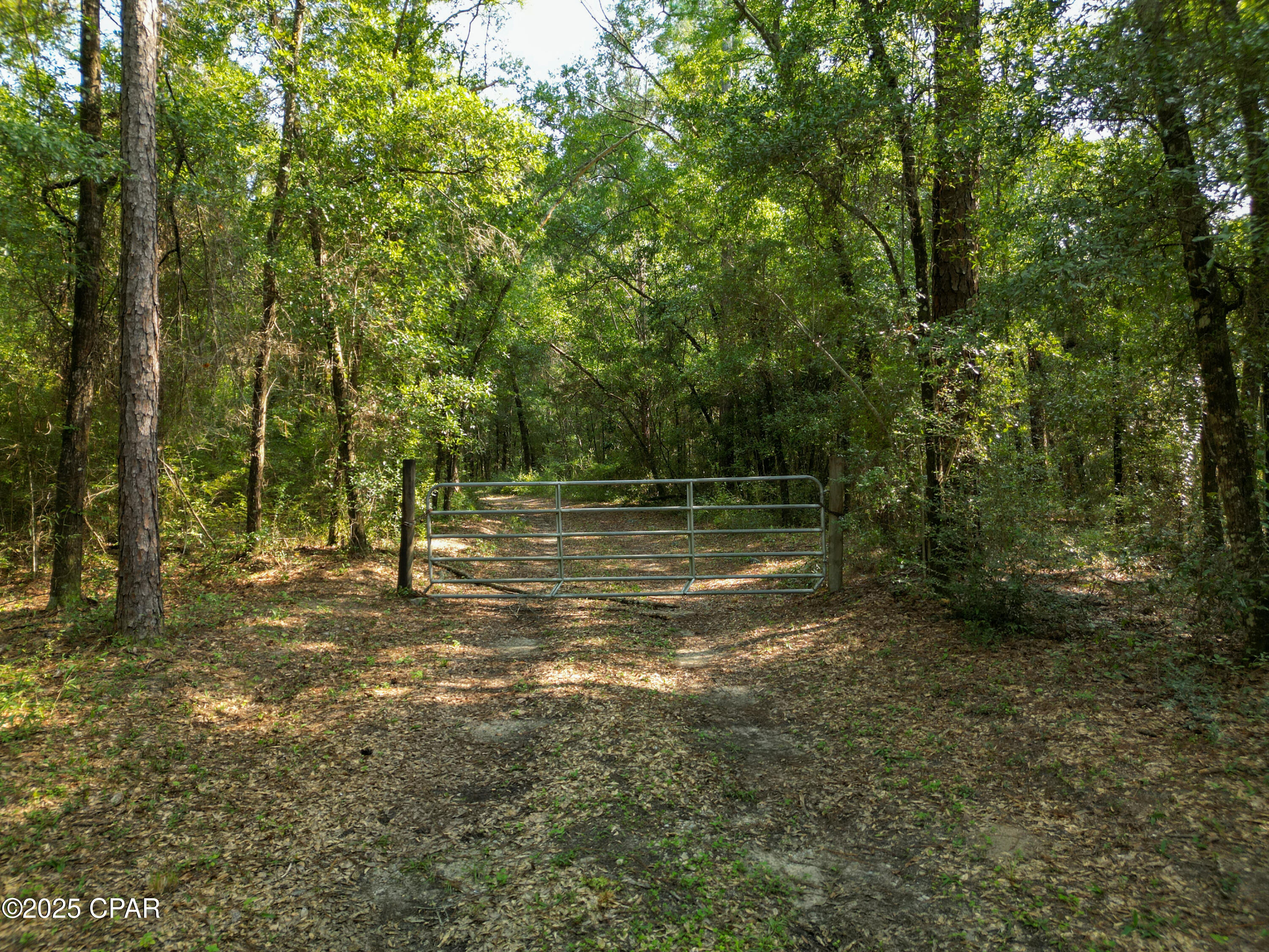 1509 Southern Way Chipley, FL 32428 - Photo 44 of 56