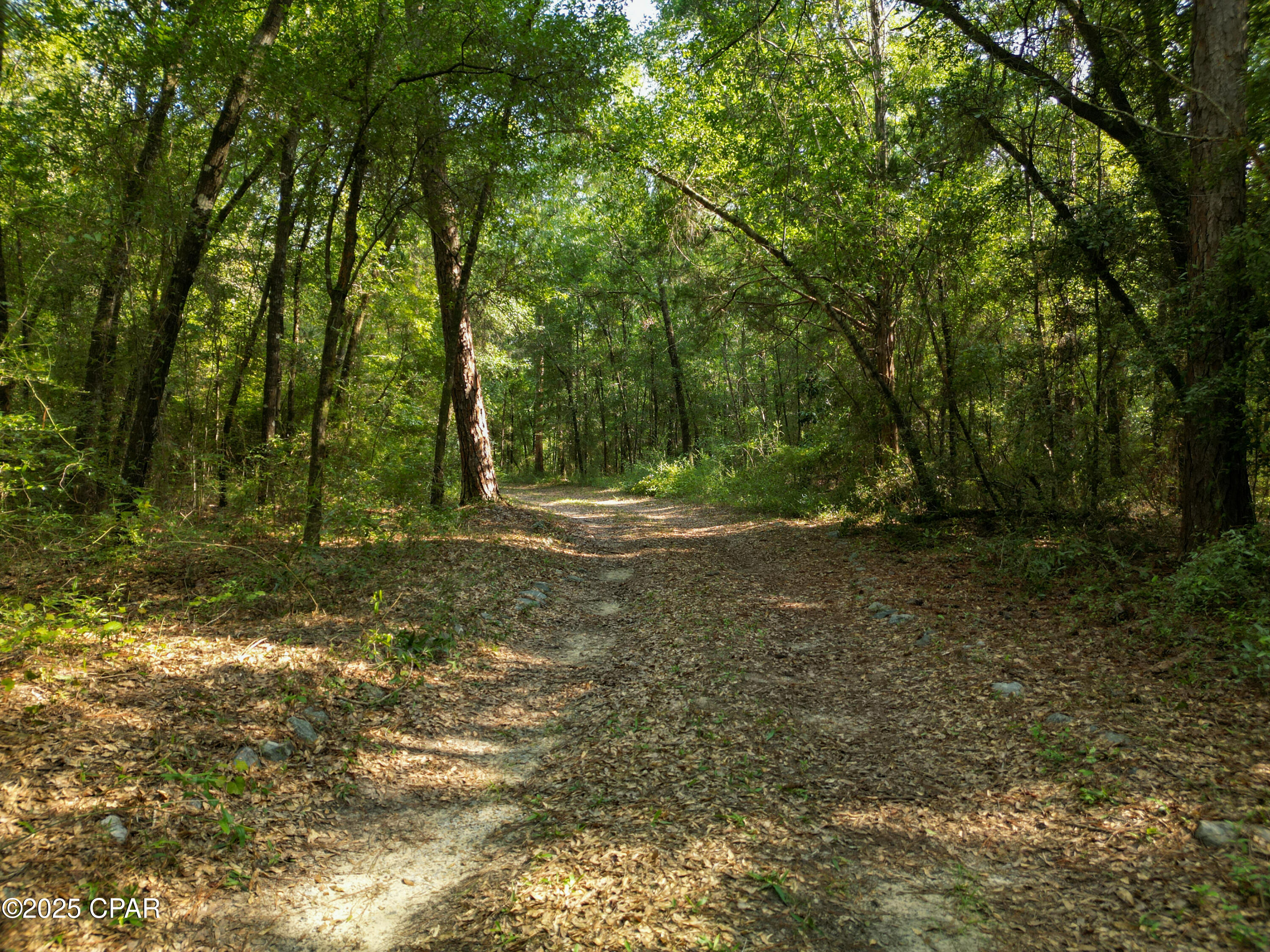 1509 Southern Way Chipley, FL 32428 - Photo 45 of 56