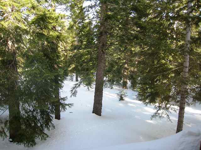 14657 Tyrol Road, Unit 11 Truckee, CA 96161 - Photo 7 of 7 Gallery Image 7