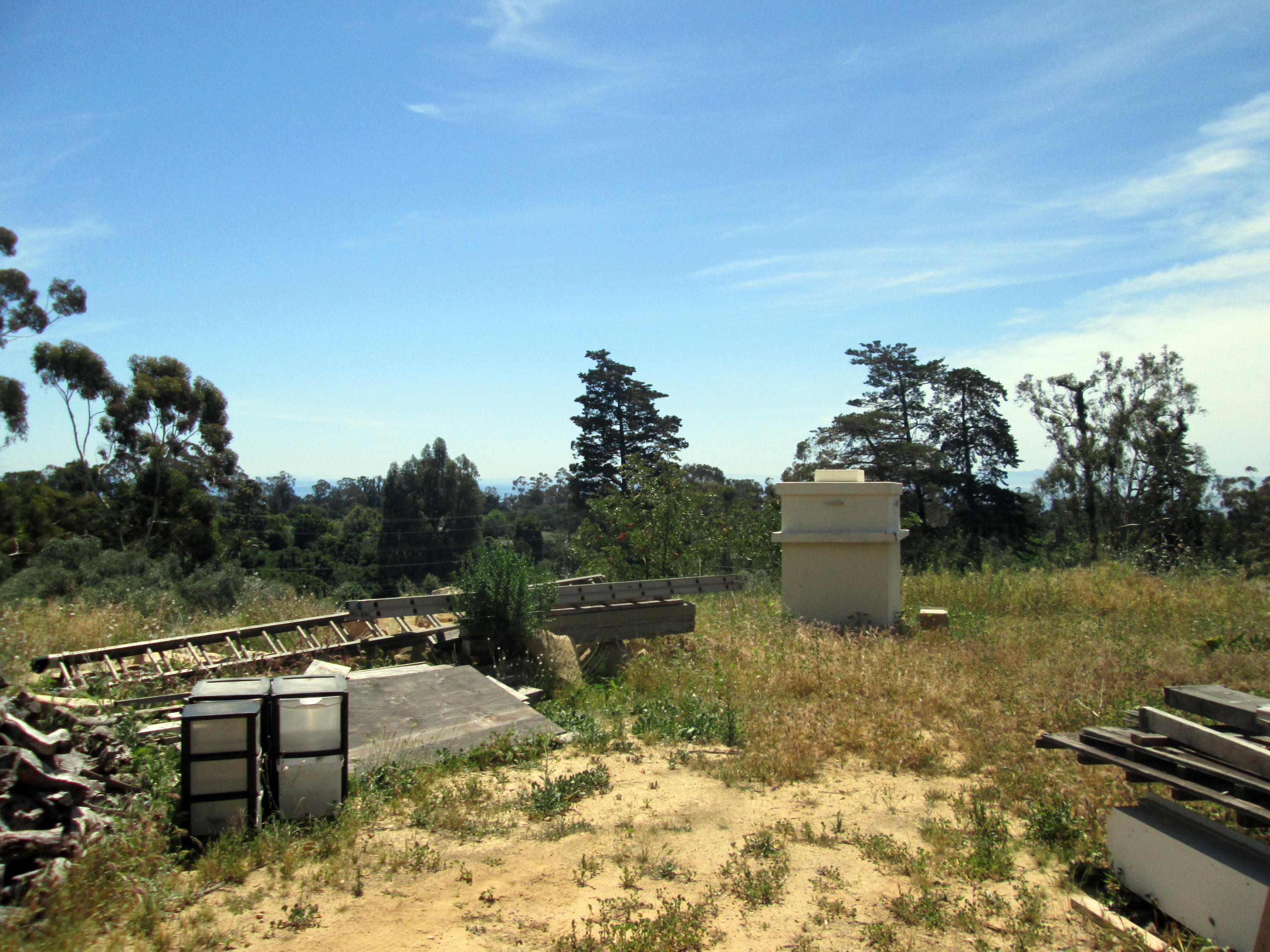 1144 Alston Road Santa Barbara, CA 93108 - Photo 10 of 15 1144 Alston view