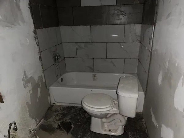 a bathroom with a toilet and a bathtub