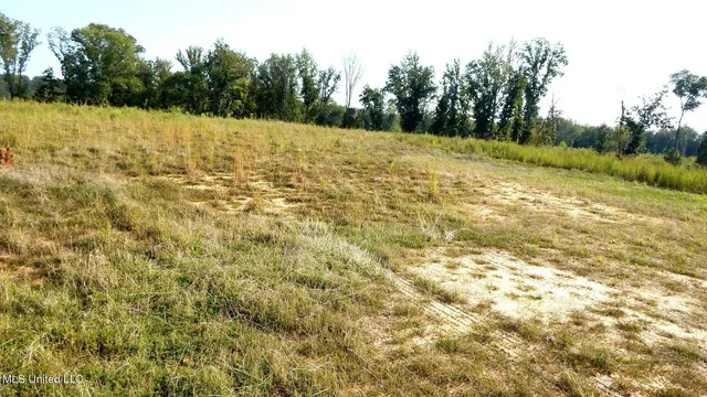 $59,900 | 85 Storm Cove, Grenada, MS 38901