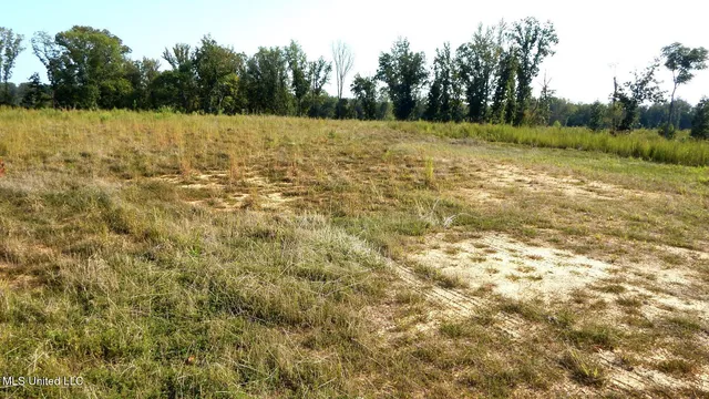 $59,900 | 85 Storm Cove, Grenada, MS 38901