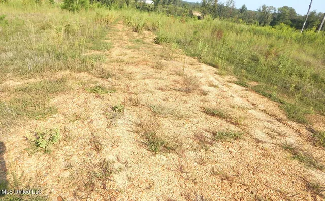 $59,900 | 85 Storm Cove, Grenada, MS 38901