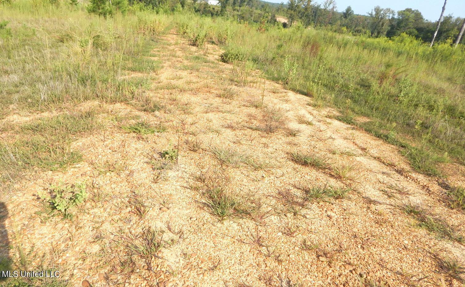 85 Storm Cove Grenada, MS 38901 - Photo 5 of 19 DSCN7254