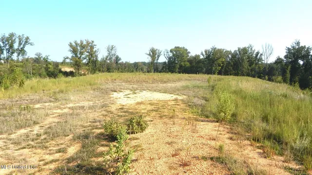 $59,900 | 85 Storm Cove, Grenada, MS 38901