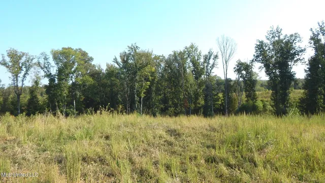 $59,900 | 85 Storm Cove, Grenada, MS 38901