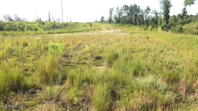 $59,900 | 85 Storm Cove, Grenada, MS 38901