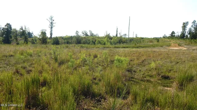 $59,900 | 85 Storm Cove, Grenada, MS 38901