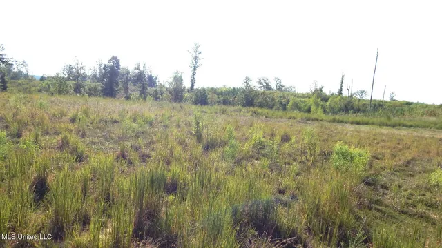 $59,900 | 85 Storm Cove, Grenada, MS 38901