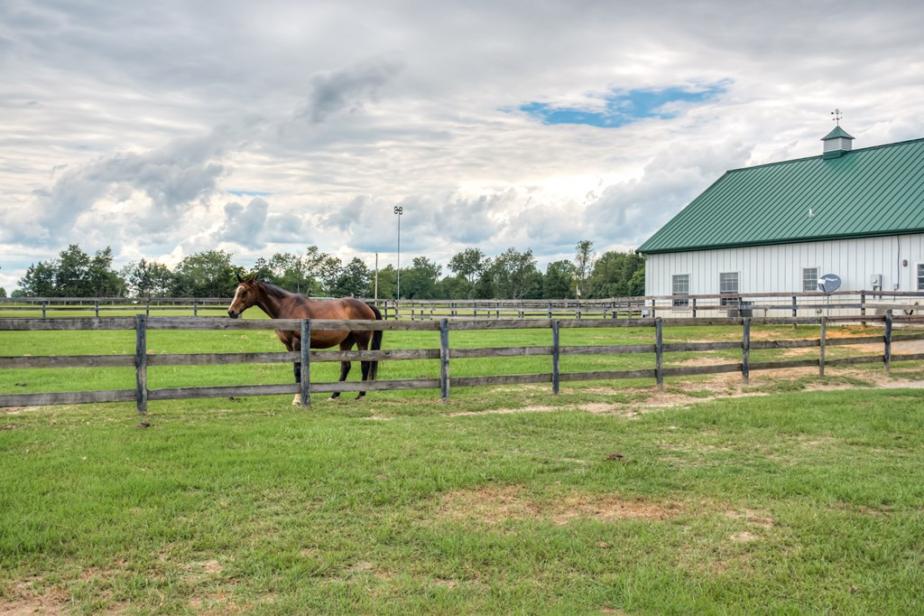 1850 Hatchaway Bridge Road Aiken, SC 29805 - Photo 13 of 32