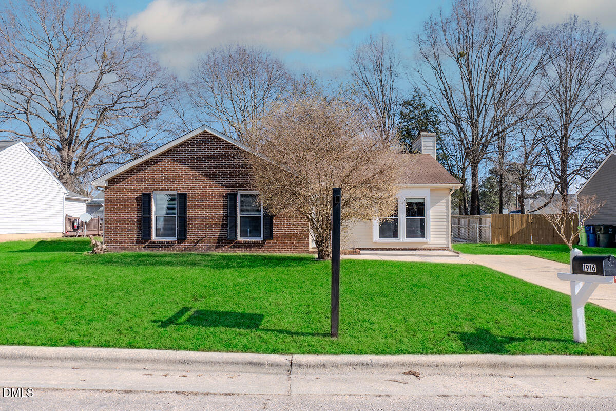 a house with a yard plants and large tree