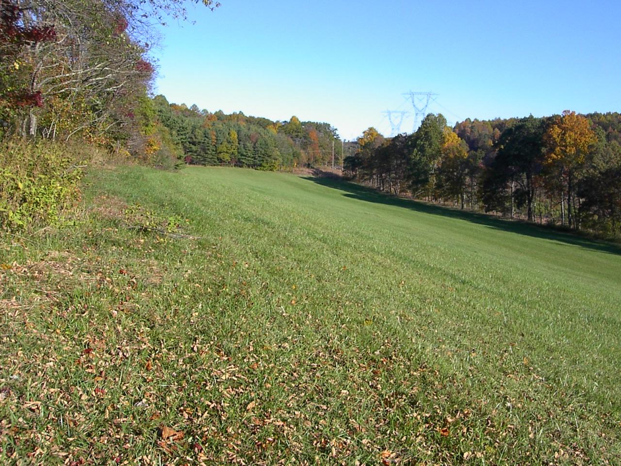 Tbd Countyline Church Road Southeast Floyd, VA 24091 - Photo 2 of 8 a view of a field with a tree in the background