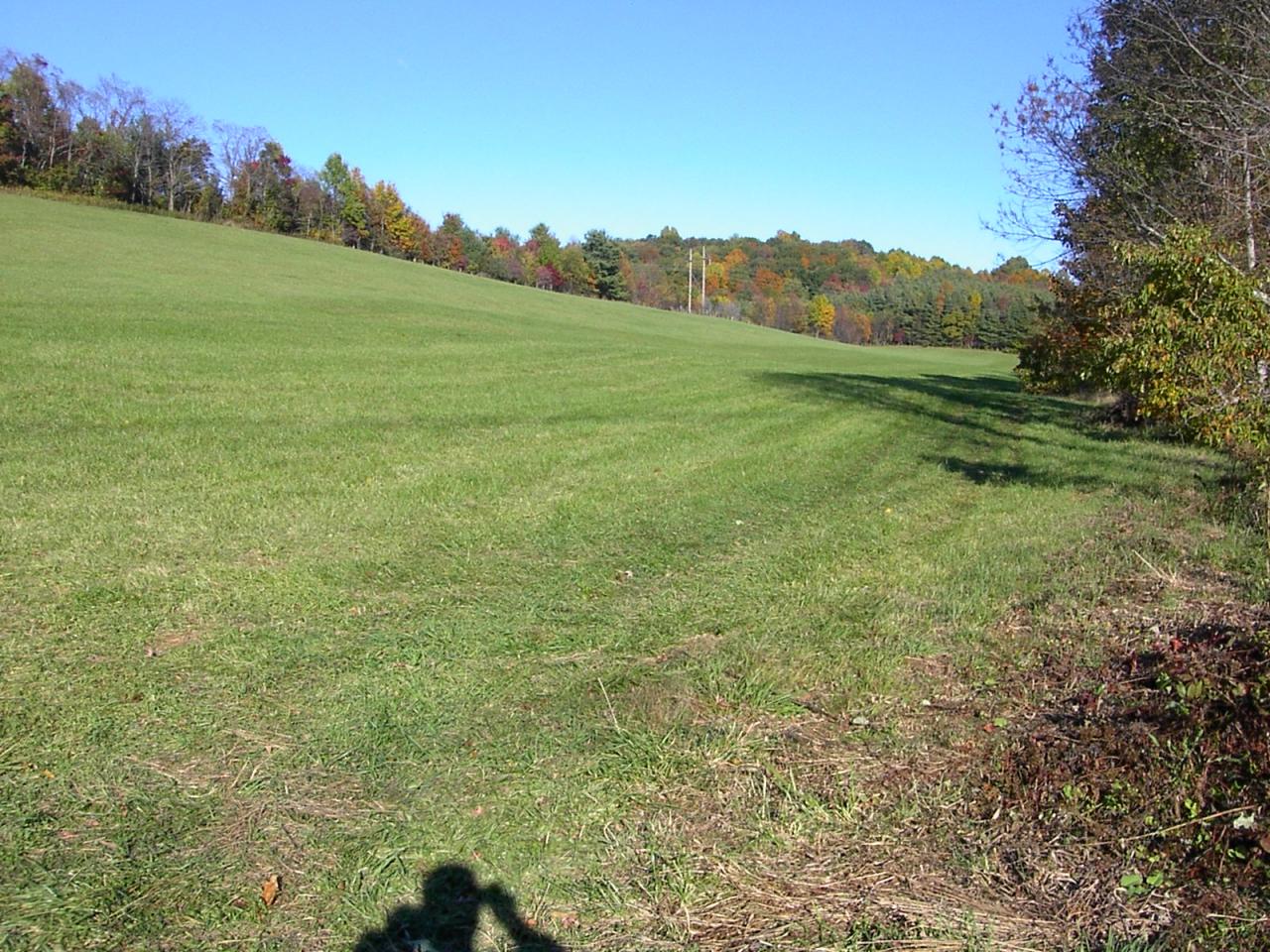 Tbd Countyline Church Road Southeast Floyd, VA 24091 - Photo 3 of 8 a view of a field with an trees in the background