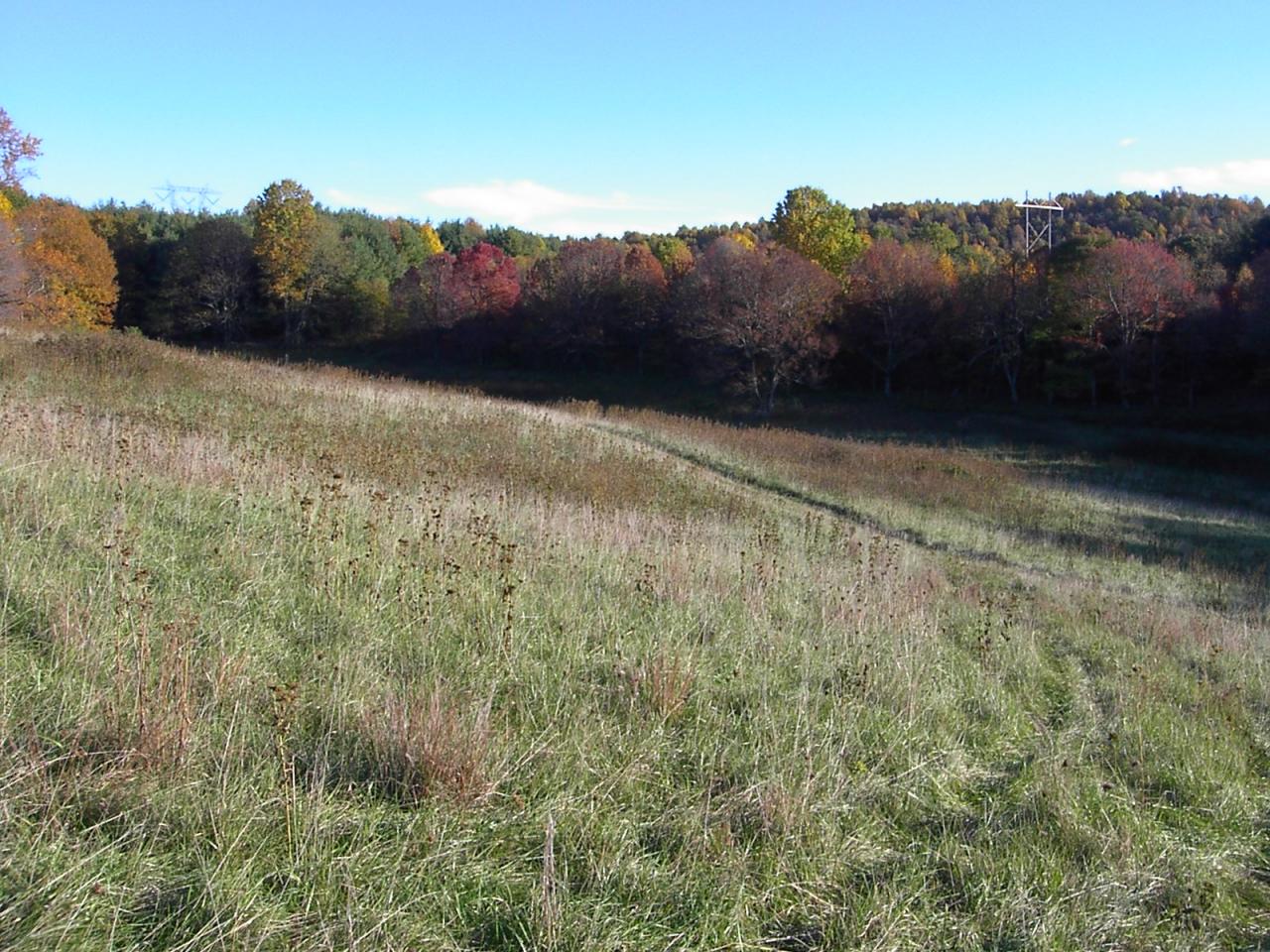Tbd Countyline Church Road Southeast Floyd, VA 24091 - Photo 6 of 8 a view of lake and mountain