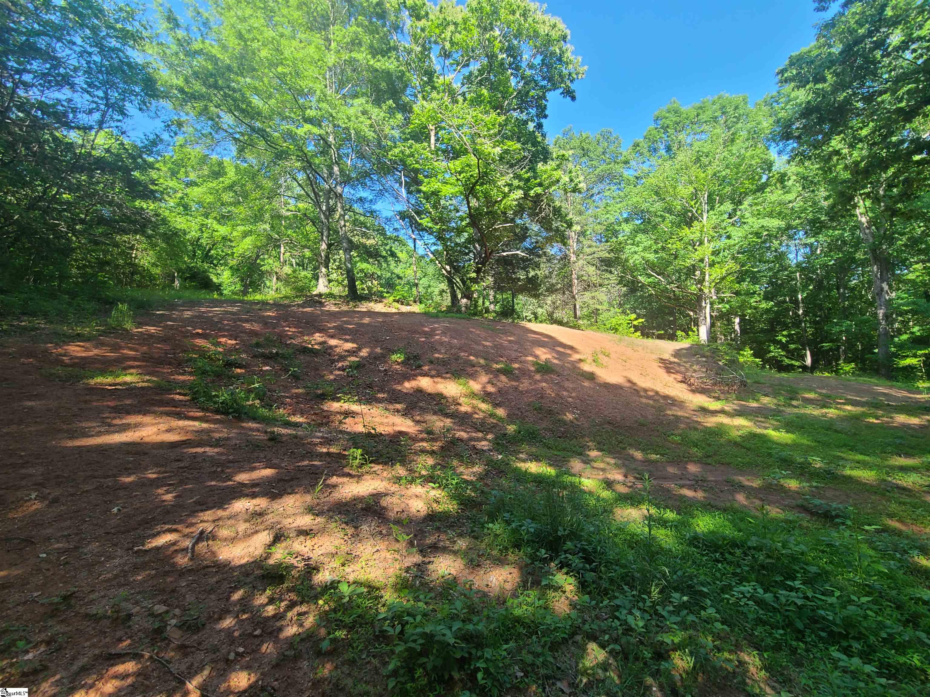 104 McDonald Road Travelers Rest, SC 29690 - Photo 8 of 12