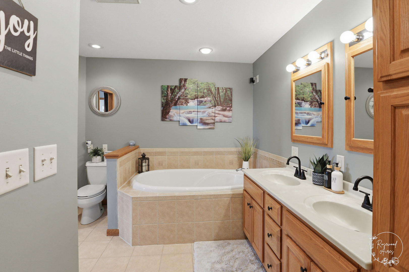 175 North Elm Street Herscher, IL 60941 - Photo 13 of 22 a bathroom with a tub a sink and a large mirror