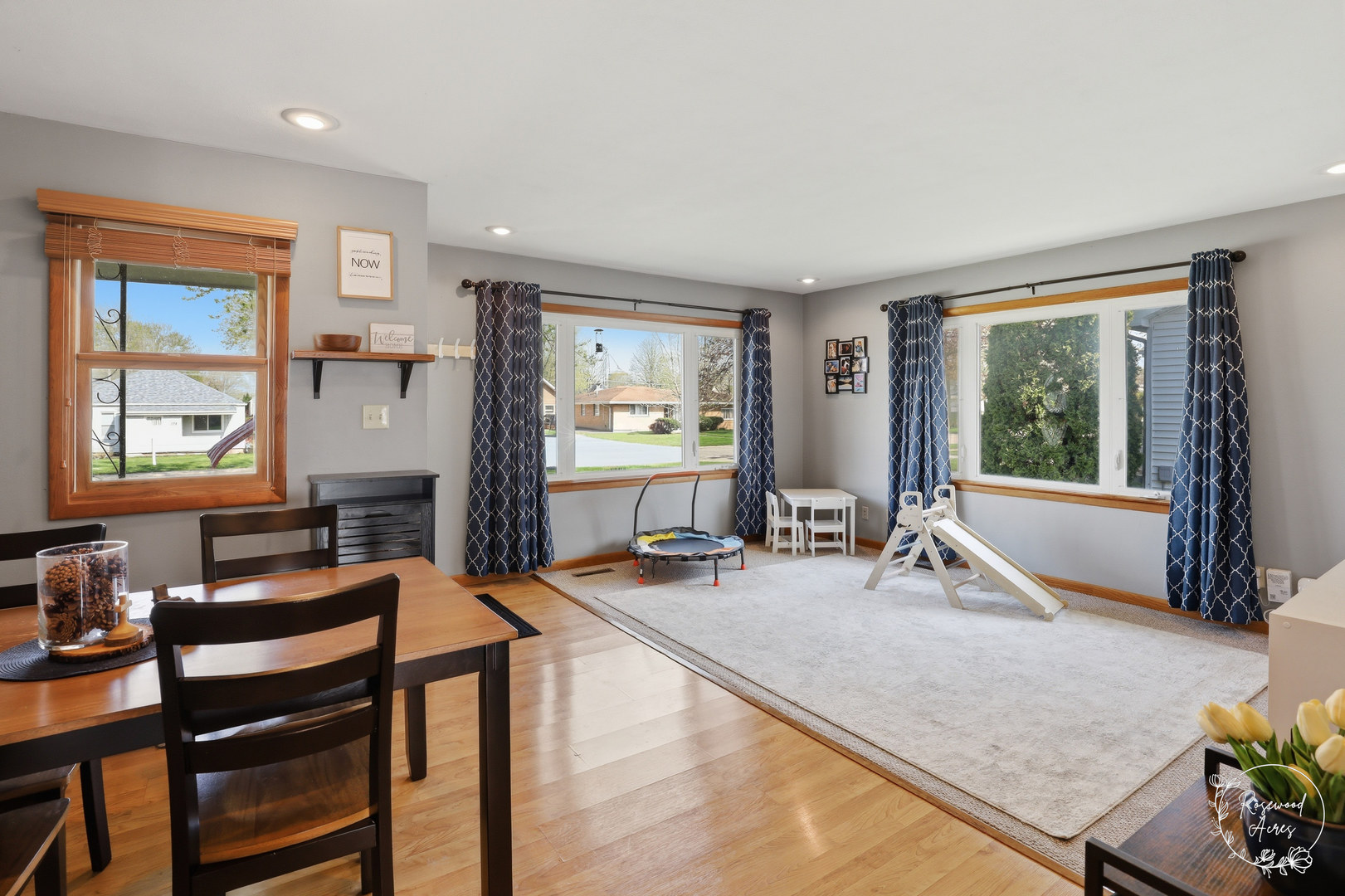 175 North Elm Street Herscher, IL 60941 - Photo 2 of 22 a view of a livingroom with furniture window and outside view
