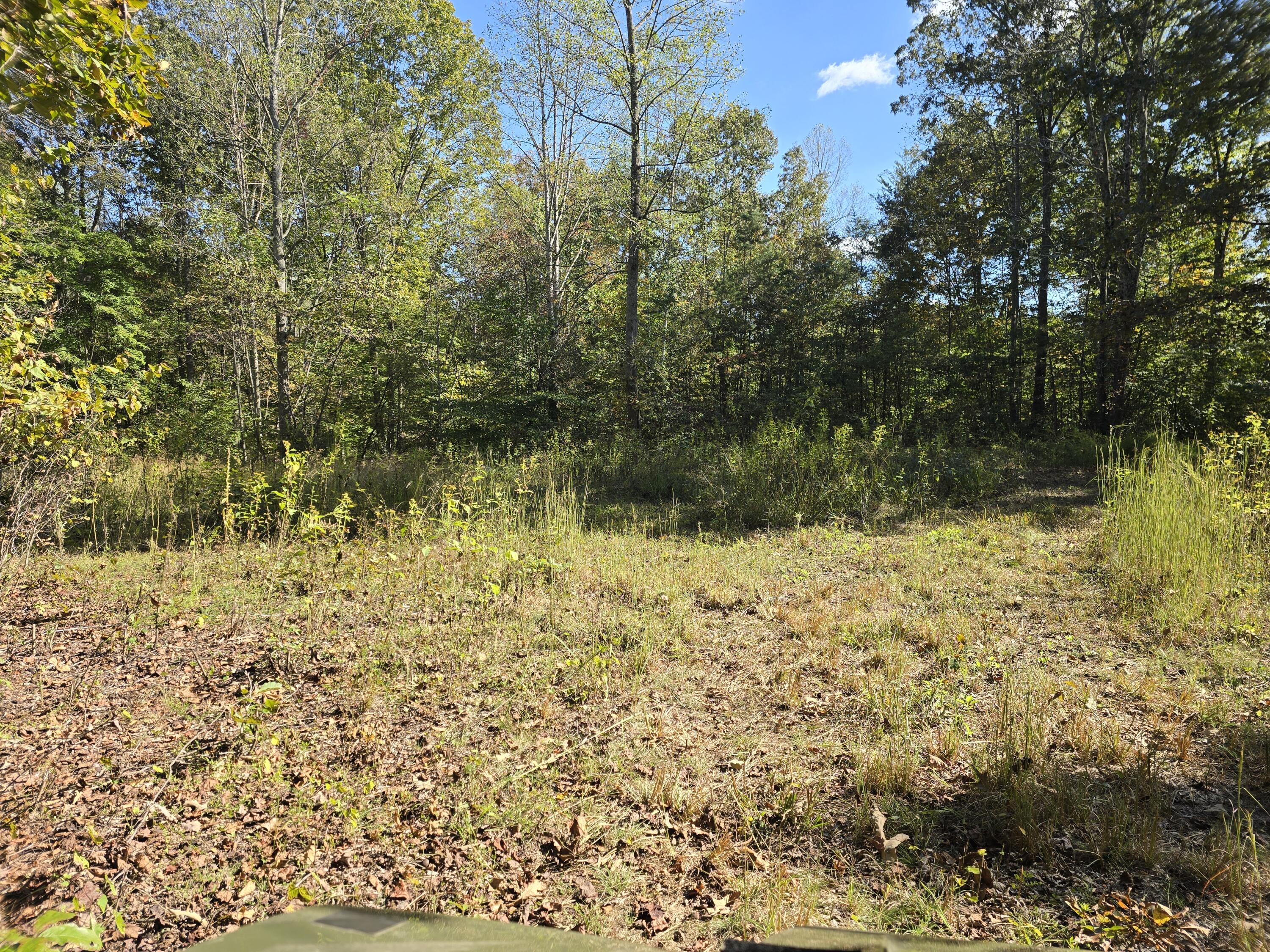 0 Salisbury Road Eagle Rock, VA 24085 - Photo 11 of 22 a view of lake view