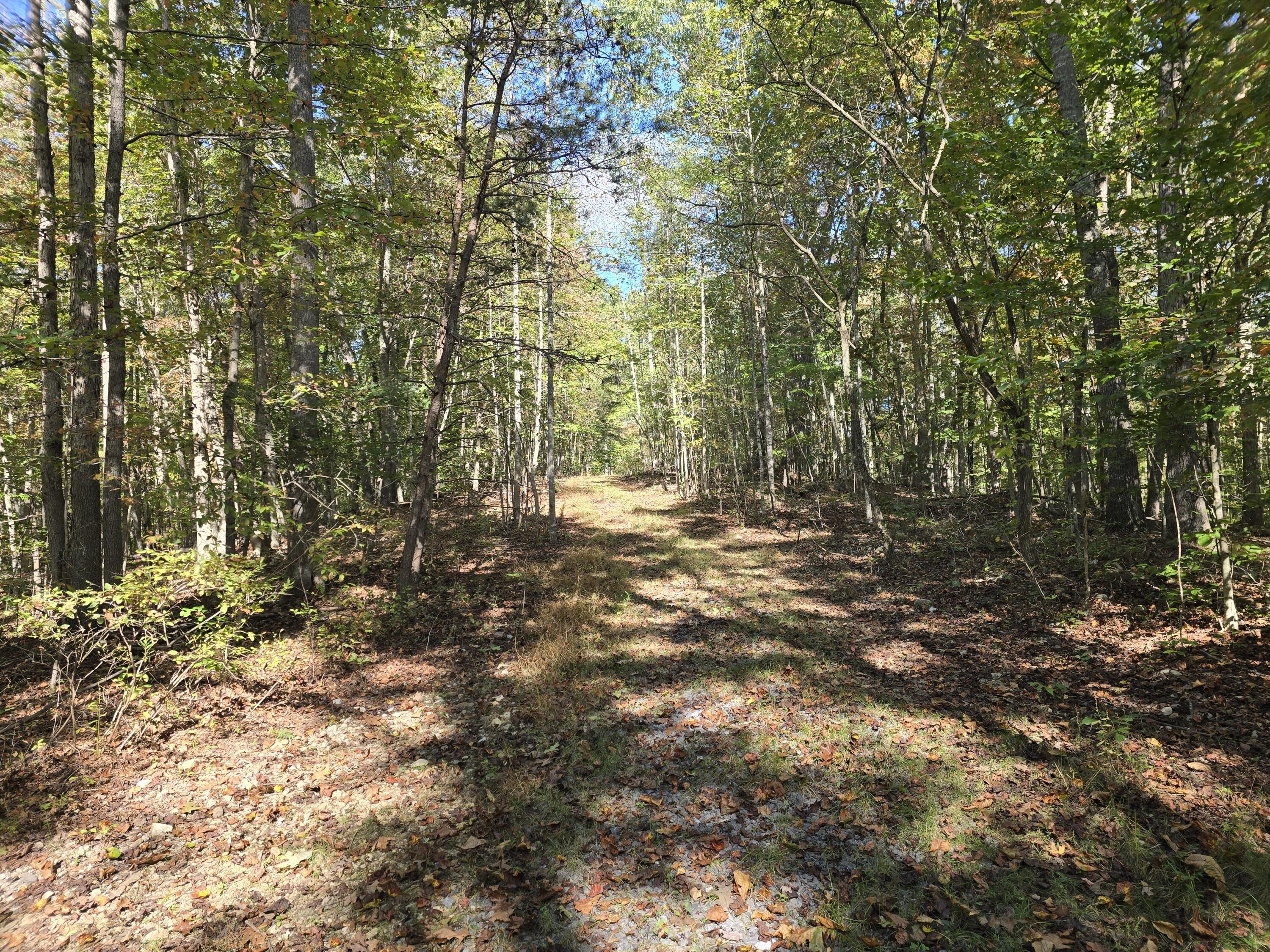 0 Salisbury Road Eagle Rock, VA 24085 - Photo 13 of 22 a view of outdoor space with deck and tree