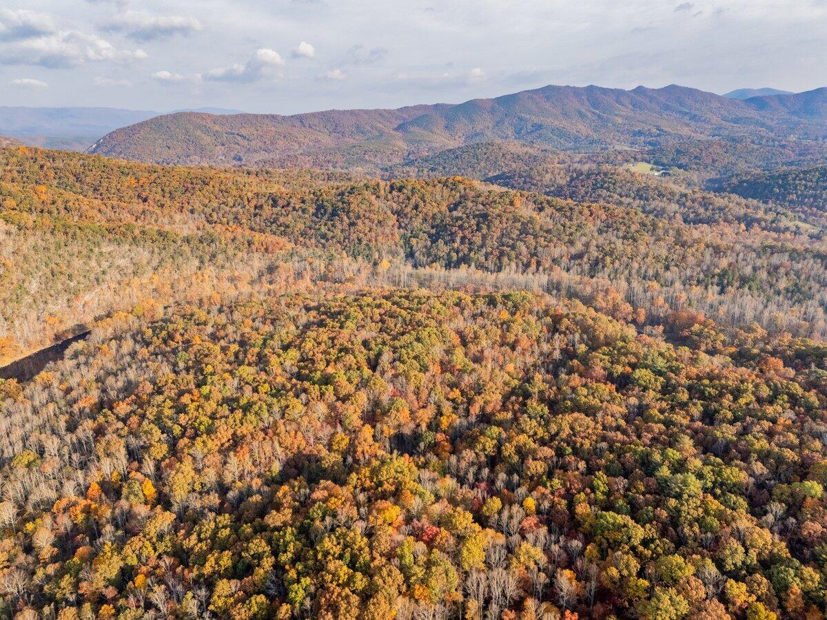 0 Salisbury Road Eagle Rock, VA 24085 - Photo 19 of 22 a view of a city
