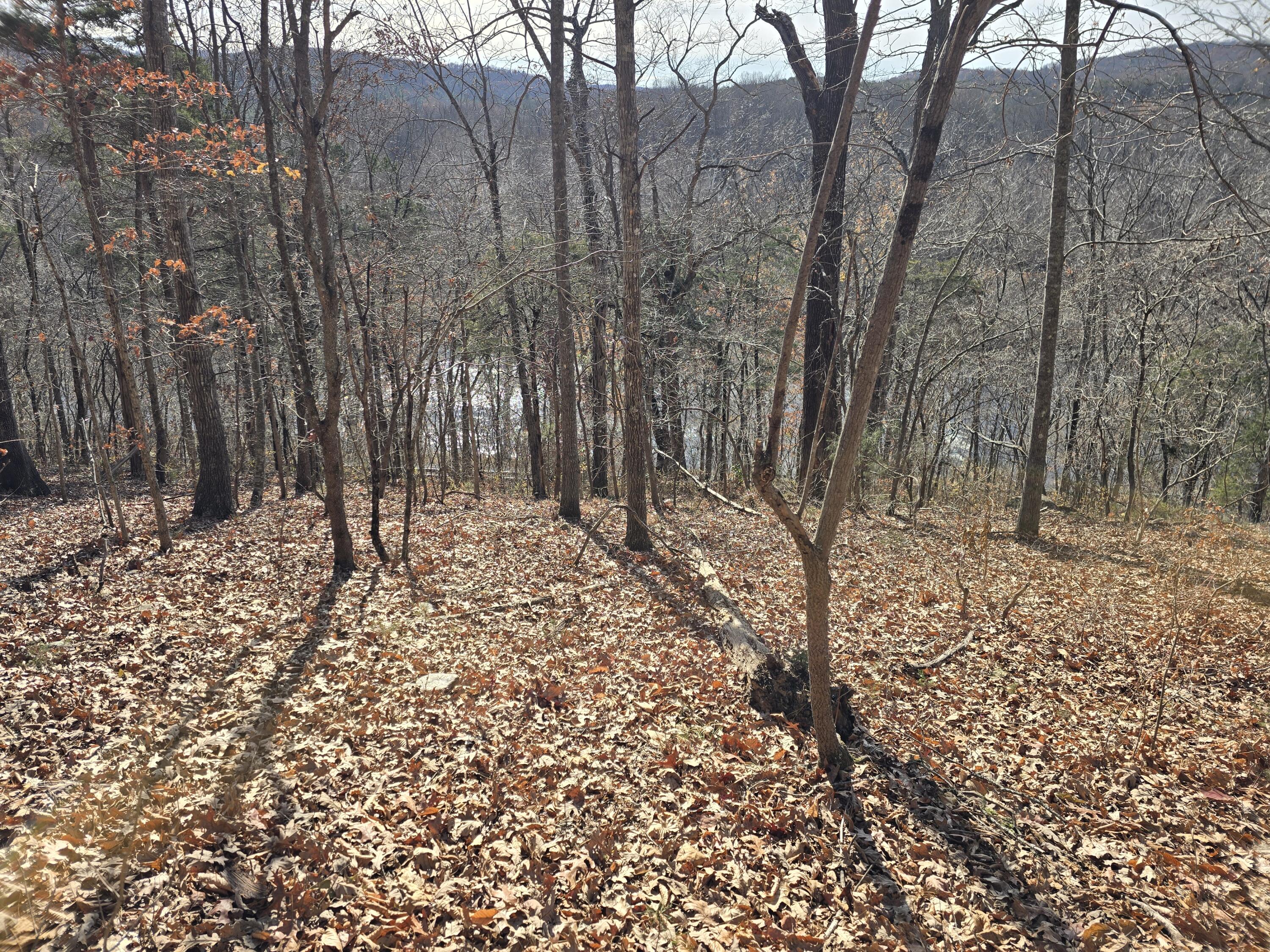 0 Salisbury Road Eagle Rock, VA 24085 - Photo 3 of 22 a view of outdoor space with lots of trees