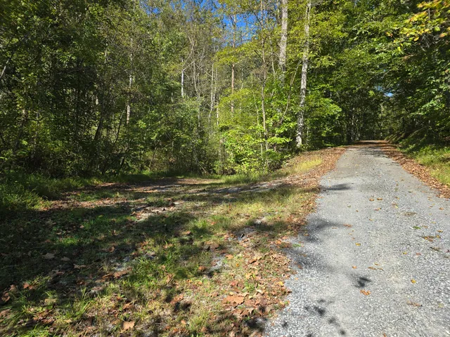a view of outdoor space with trees all around
