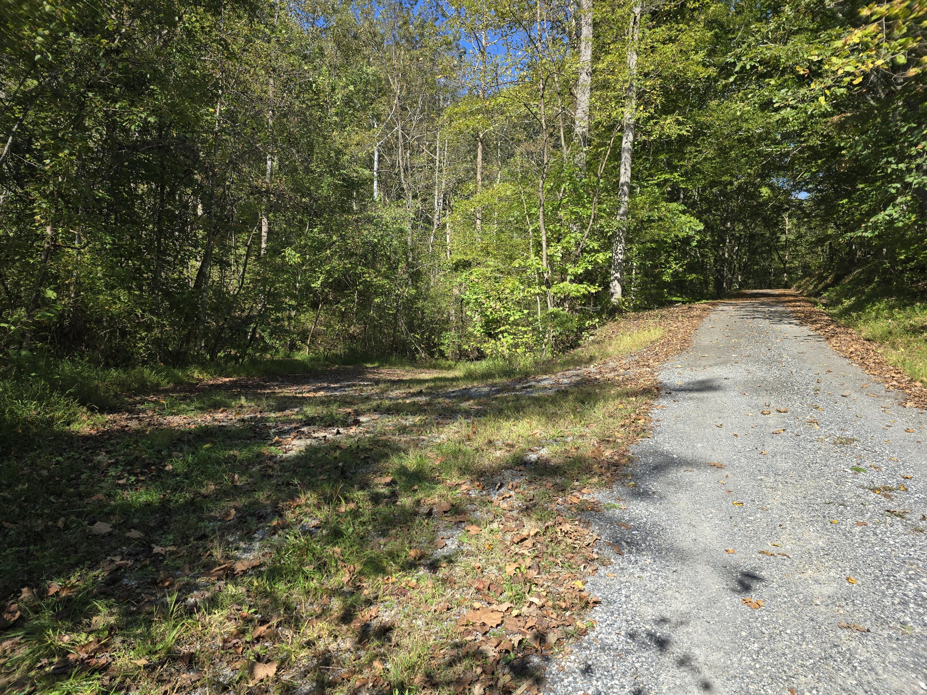 0 Salisbury Road Eagle Rock, VA 24085 - Photo 4 of 22 a view of outdoor space with trees all around