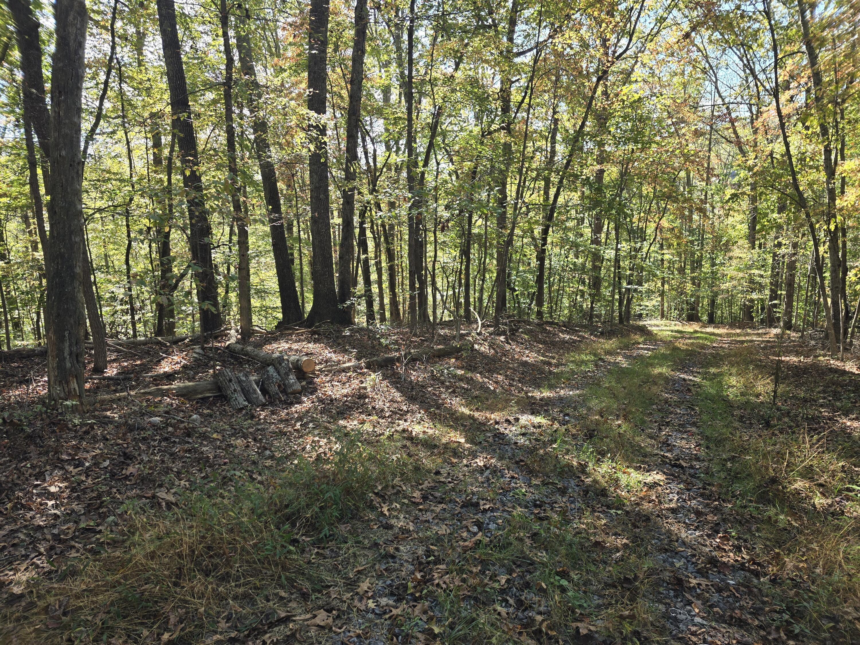 0 Salisbury Road Eagle Rock, VA 24085 - Photo 5 of 22 a big yard with lots of green space and trees