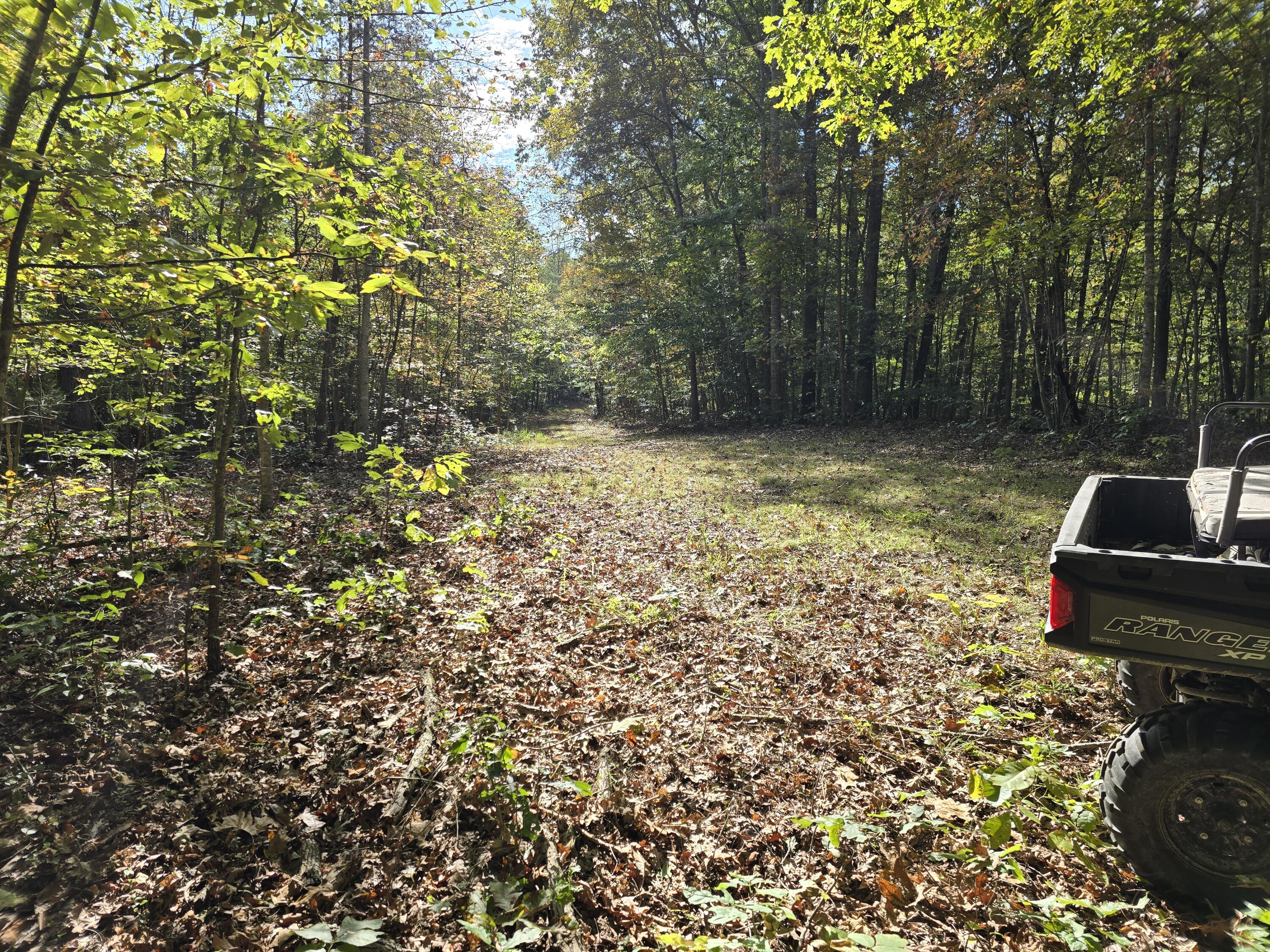 0 Salisbury Road Eagle Rock, VA 24085 - Photo 7 of 22 a backyard of a house with lots of green space