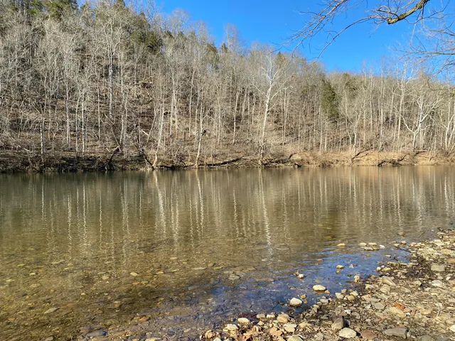 a view of a lake with lots of trees