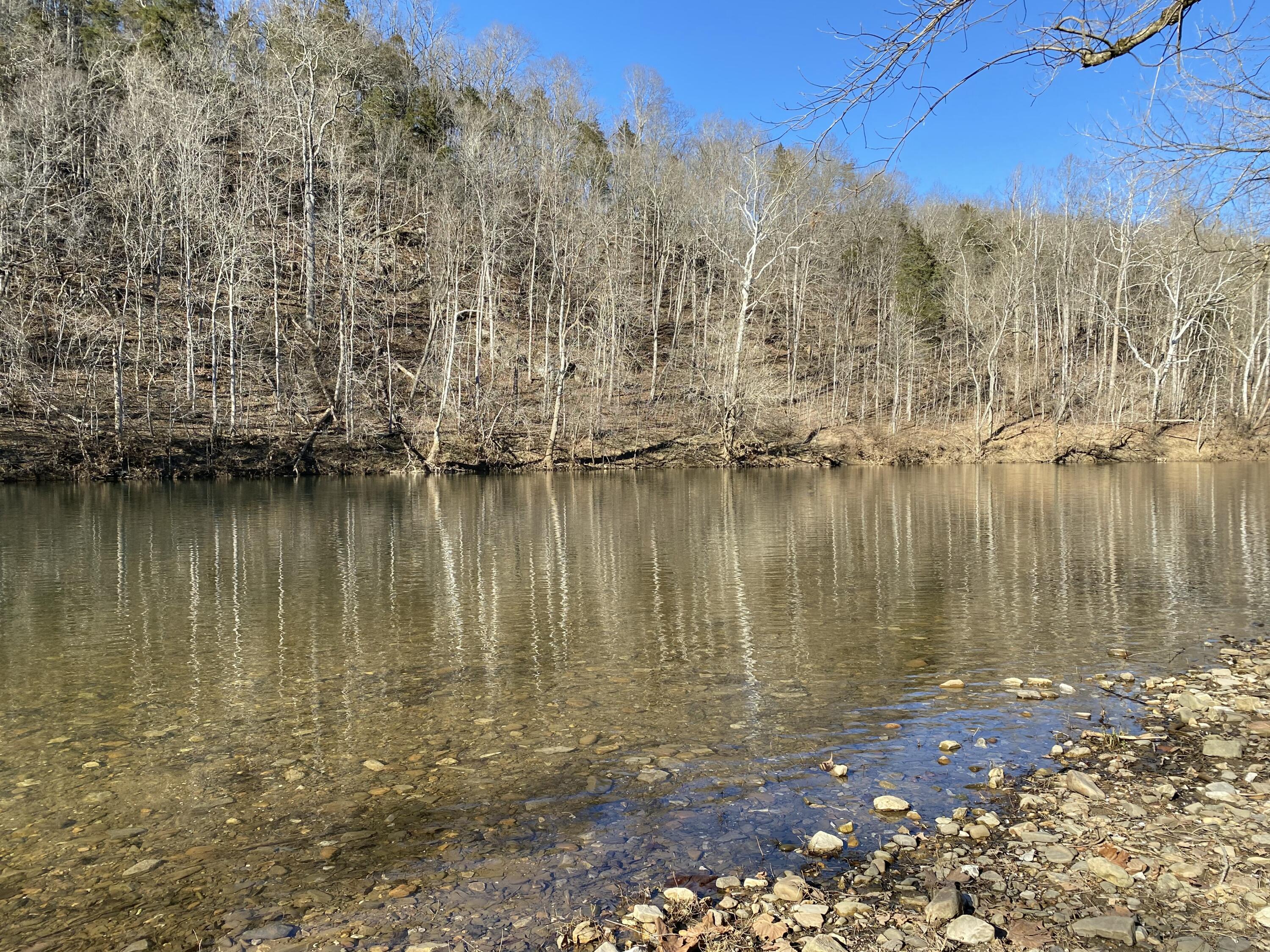 0 Salisbury Road Eagle Rock, VA 24085 - Photo 8 of 22 a view of a lake with lots of trees