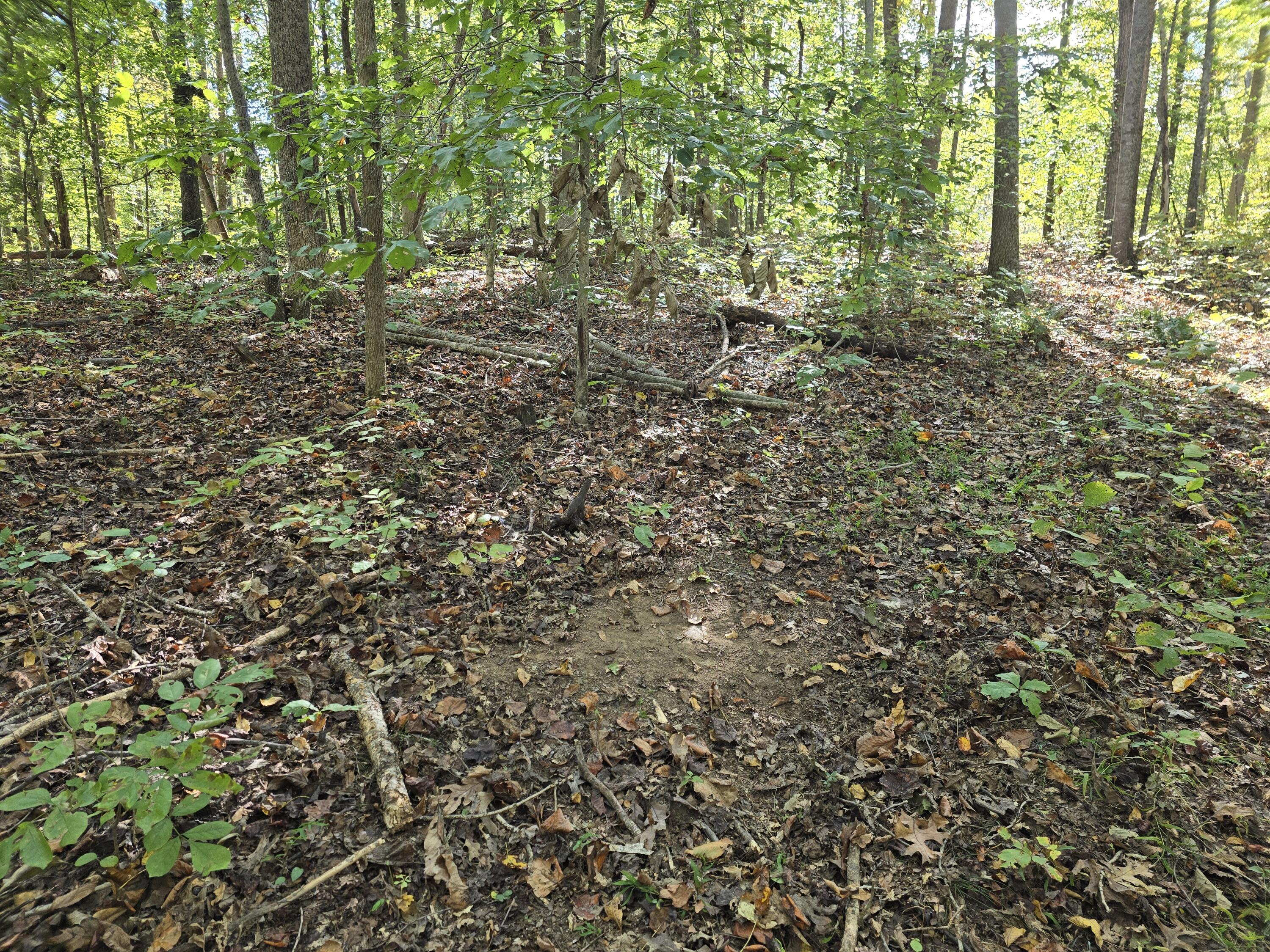 0 Salisbury Road Eagle Rock, VA 24085 - Photo 10 of 22 a view of outdoor space and trees