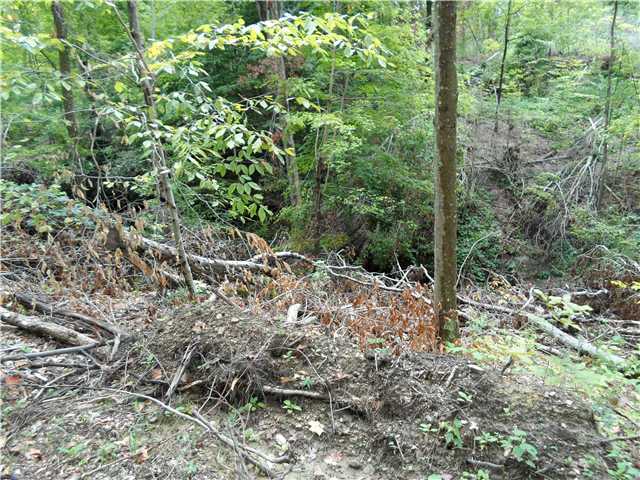 8001 Perrys Den Road Cumberland, OH 43732 - Photo 6 of 8 Gallery Image 6