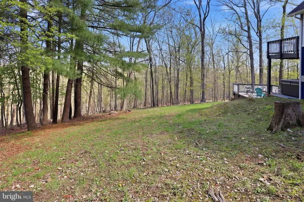 a view of a house with a yard and tree