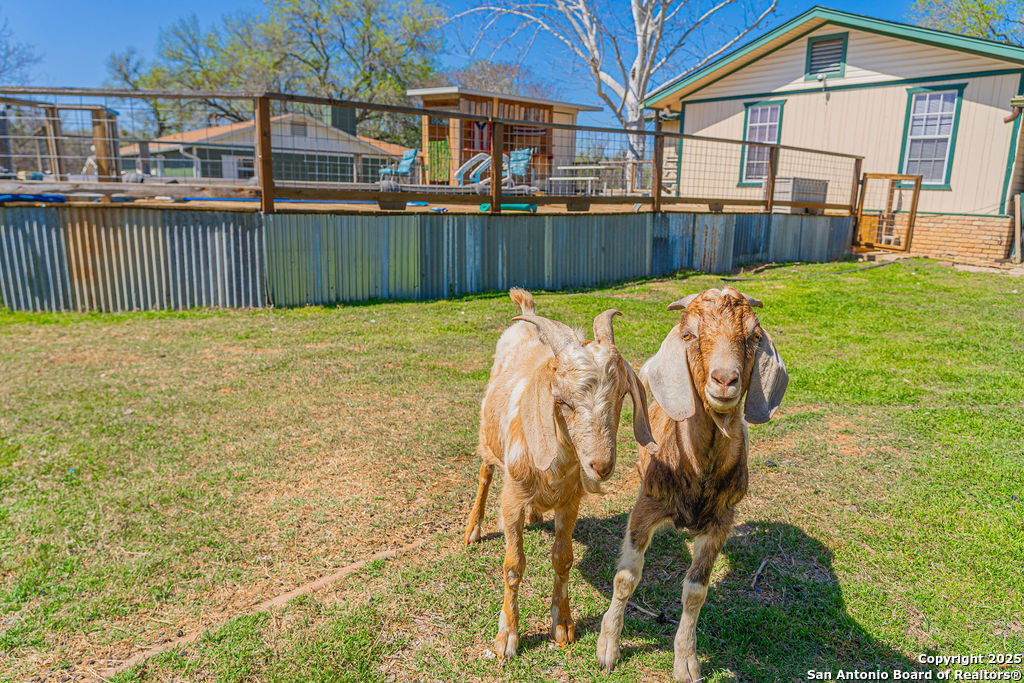 10544 Macaway Road Adkins, TX 78101 - Photo 27 of 40 a view of house with outdoor space and seating area