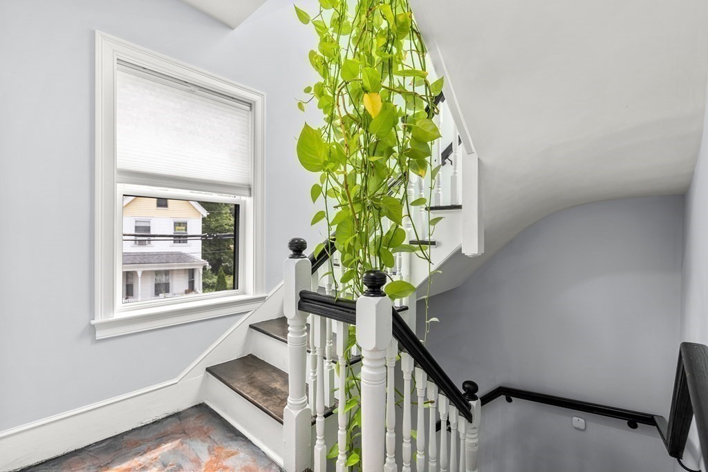 24 Gay Head Street Boston, MA 02130 - Photo 38 of 41