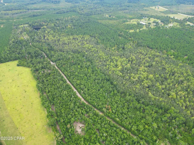 $52,000 | 0 Non Road, Marianna, FL 32448