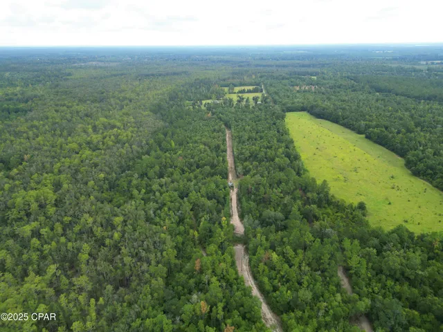 $52,000 | 0 Non Road, Marianna, FL 32448