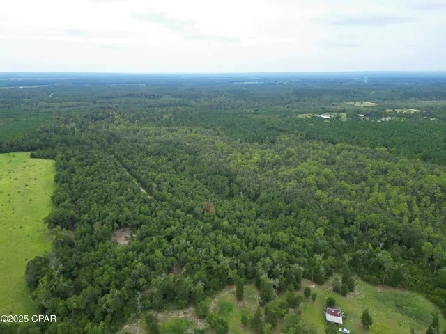 $52,000 | 0 Non Road, Marianna, FL 32448